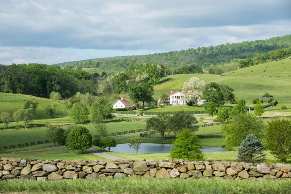 Ovoka in the News: Virginia's Most Spectacular Historic Gardens